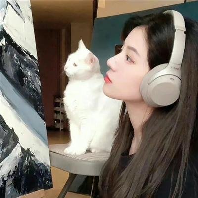 一只小蜘蛛